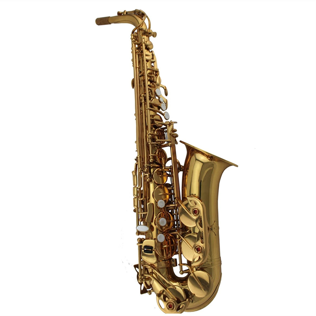 Alto Saxophone Set W1581