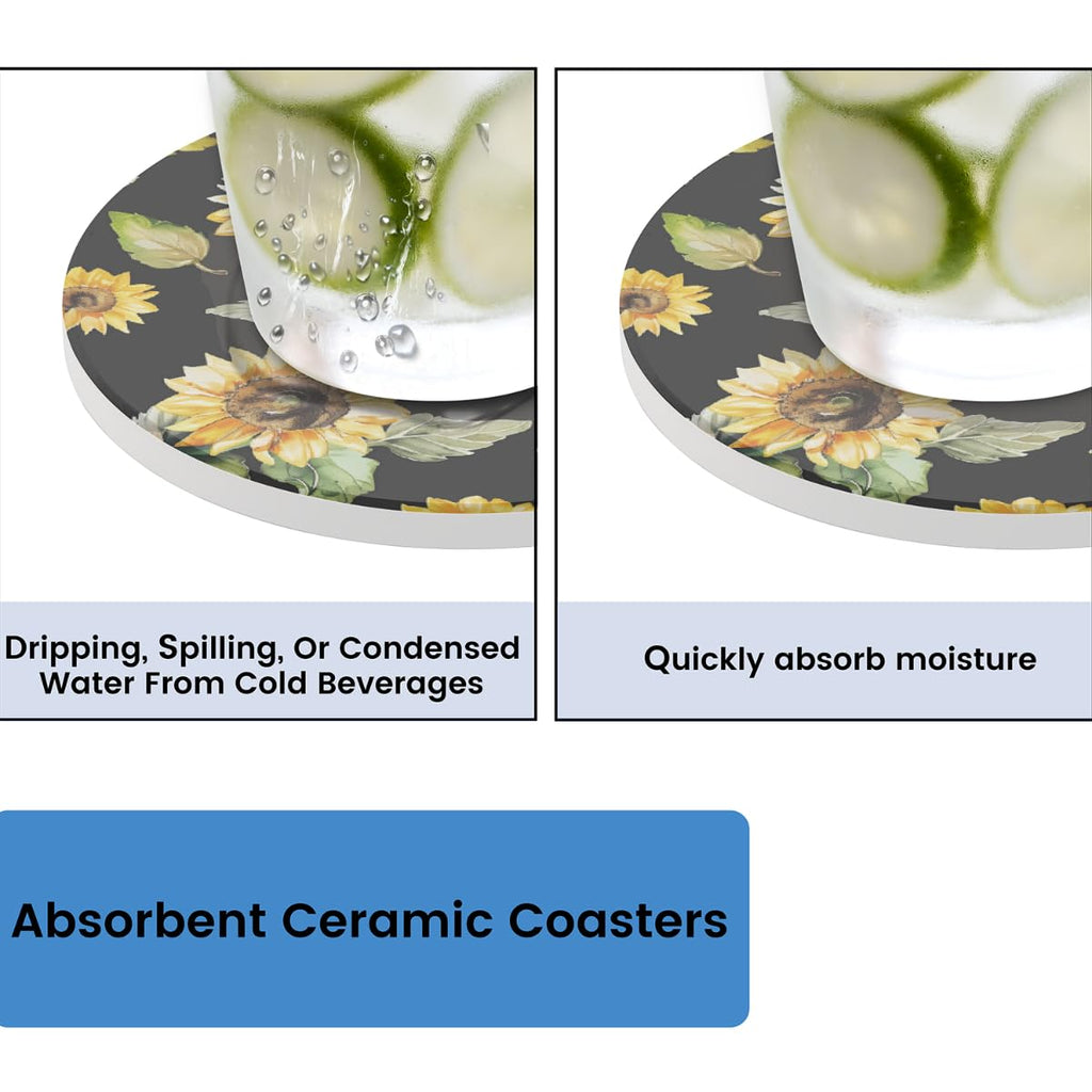Round Absorbent Ceramic Coasters Set of 4 S504