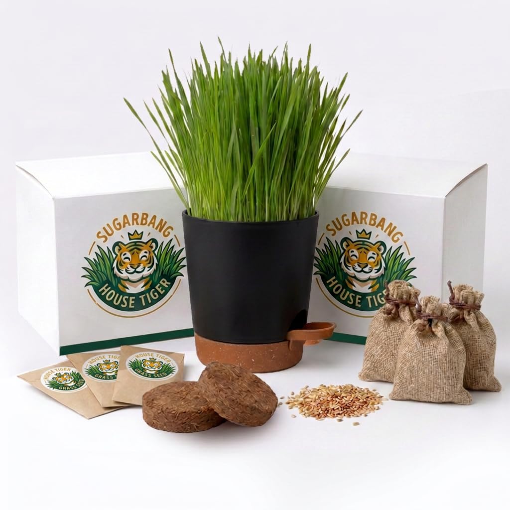 Cat Grass Growing Kit with 3-Pack Refill B394