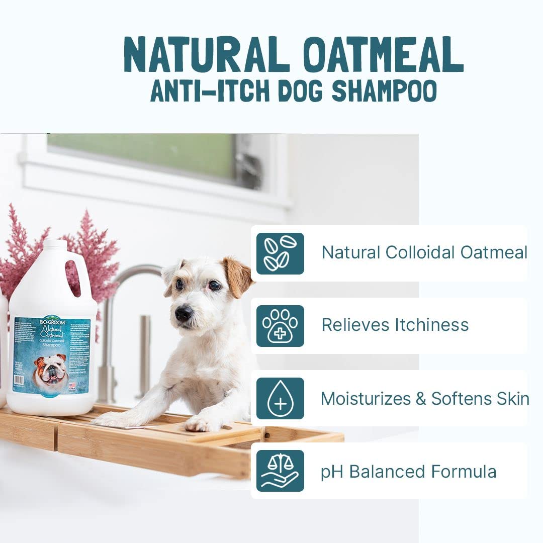 Oatmeal Dog Shampoo 1 Gallon H5736