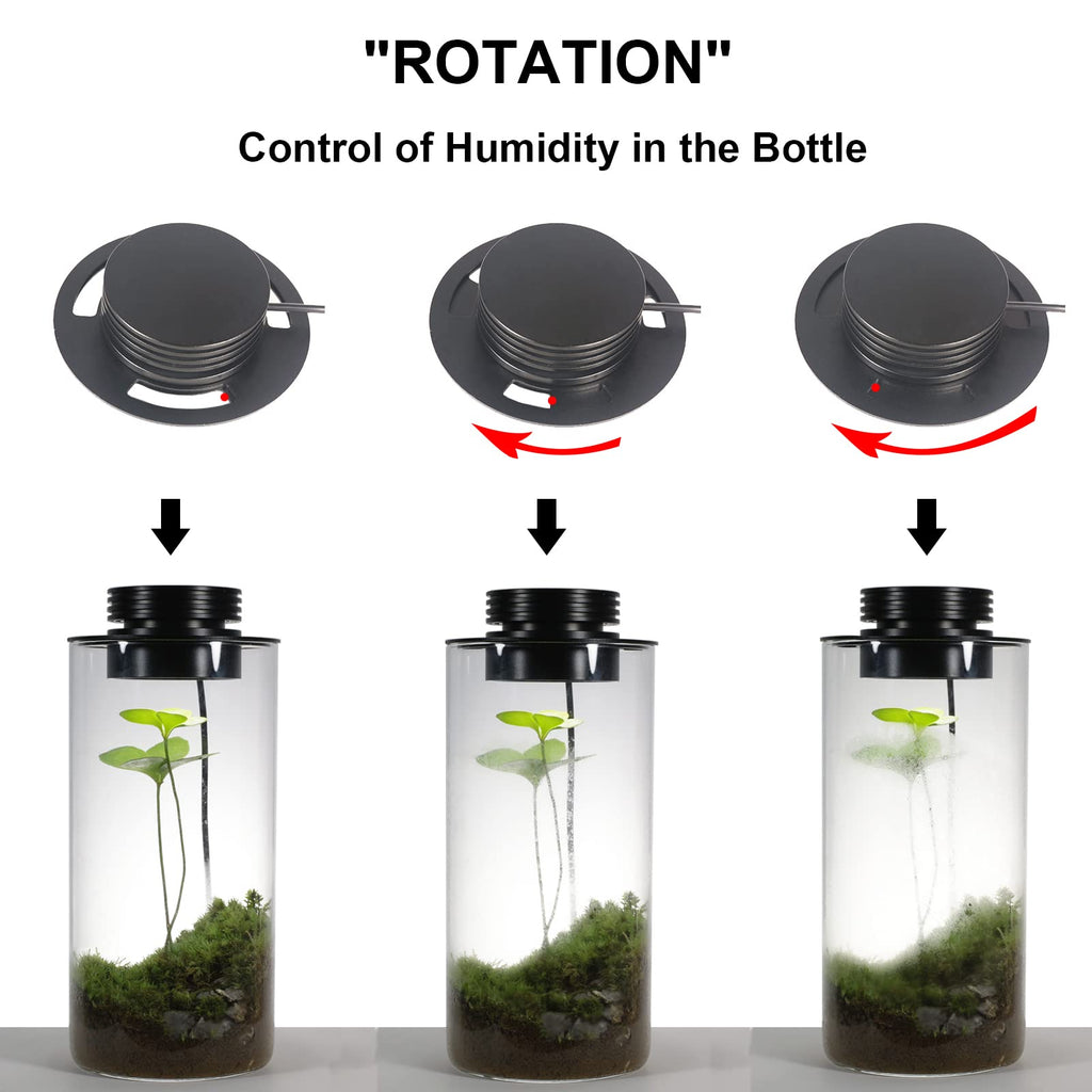 Glass Plant Terrarium with Grow Light O85405