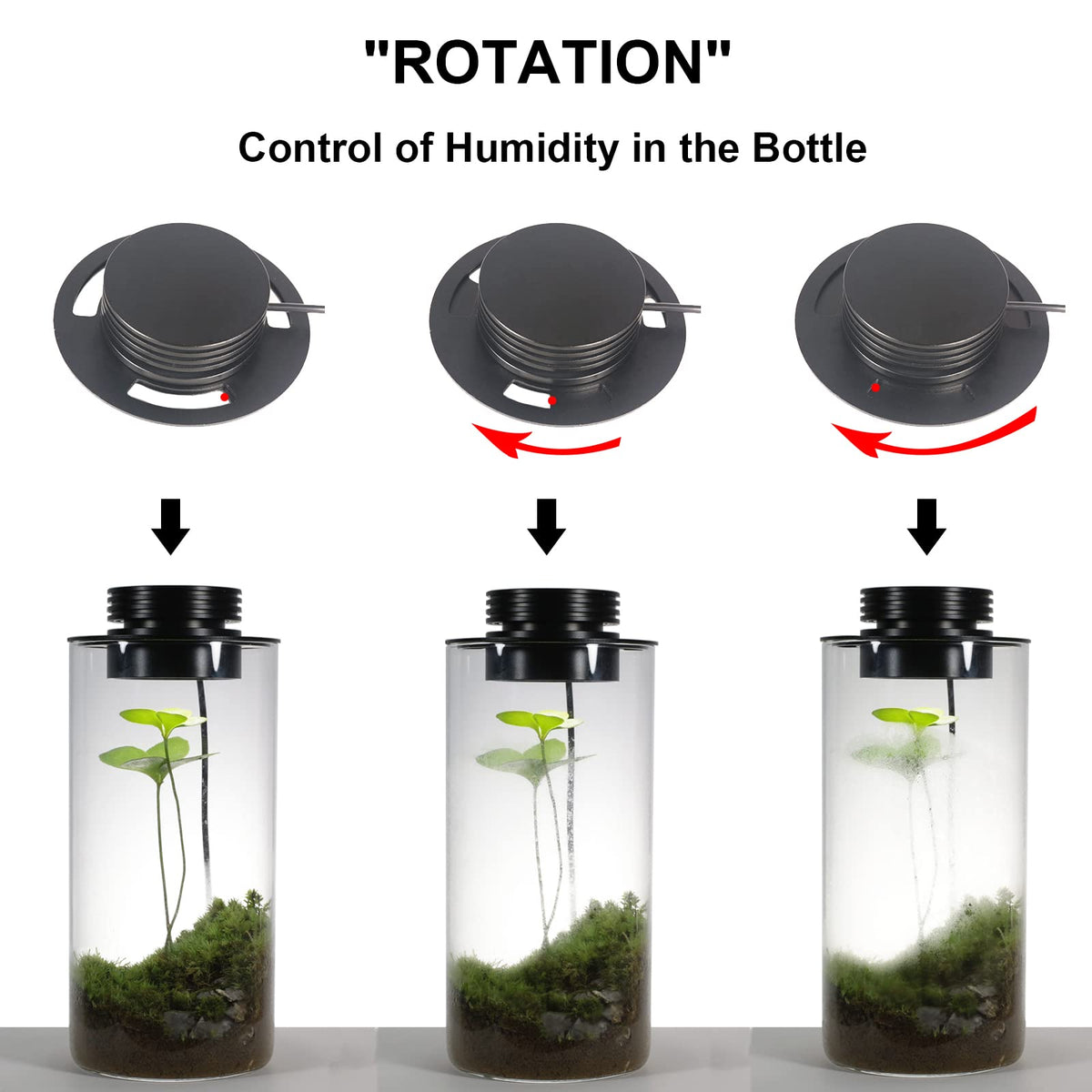 Glass Plant Terrarium with Grow Light O85405