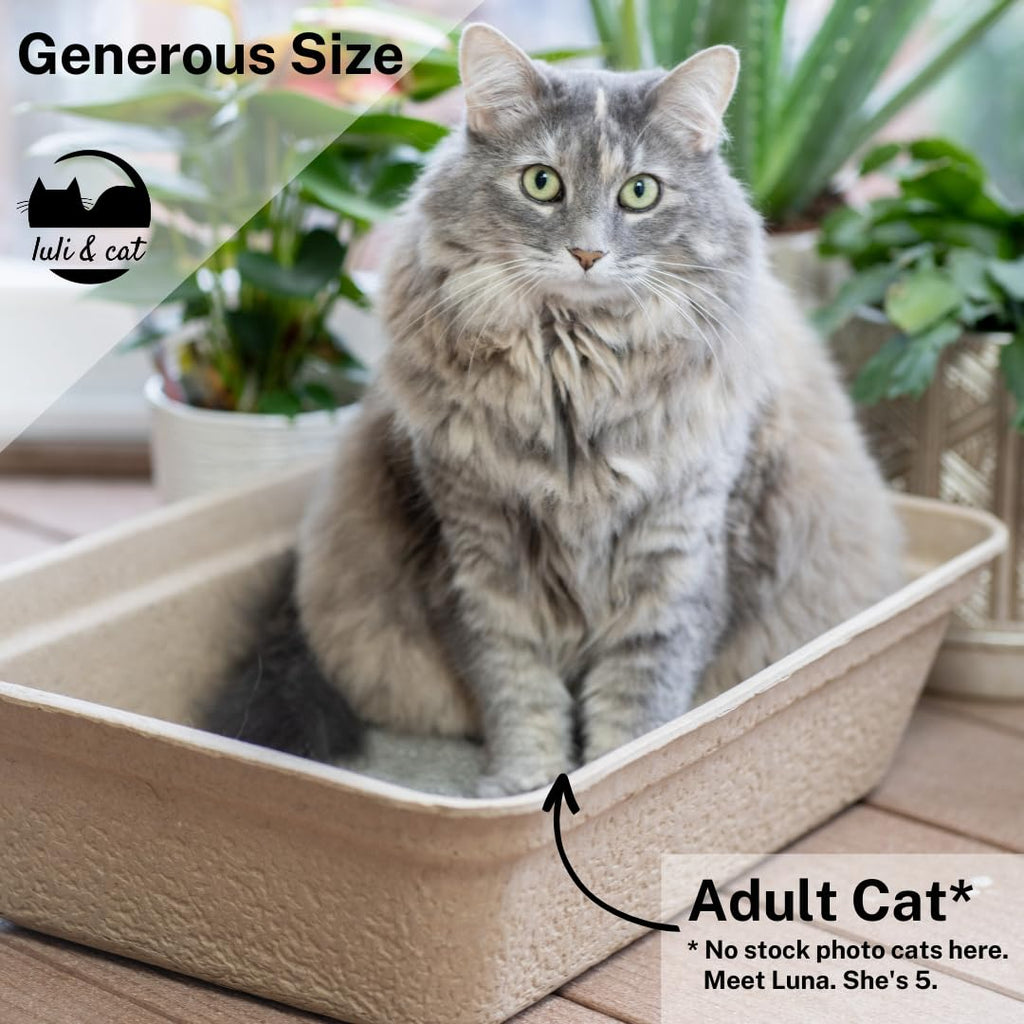 Disposable Litter Boxes 4-Pack P568654