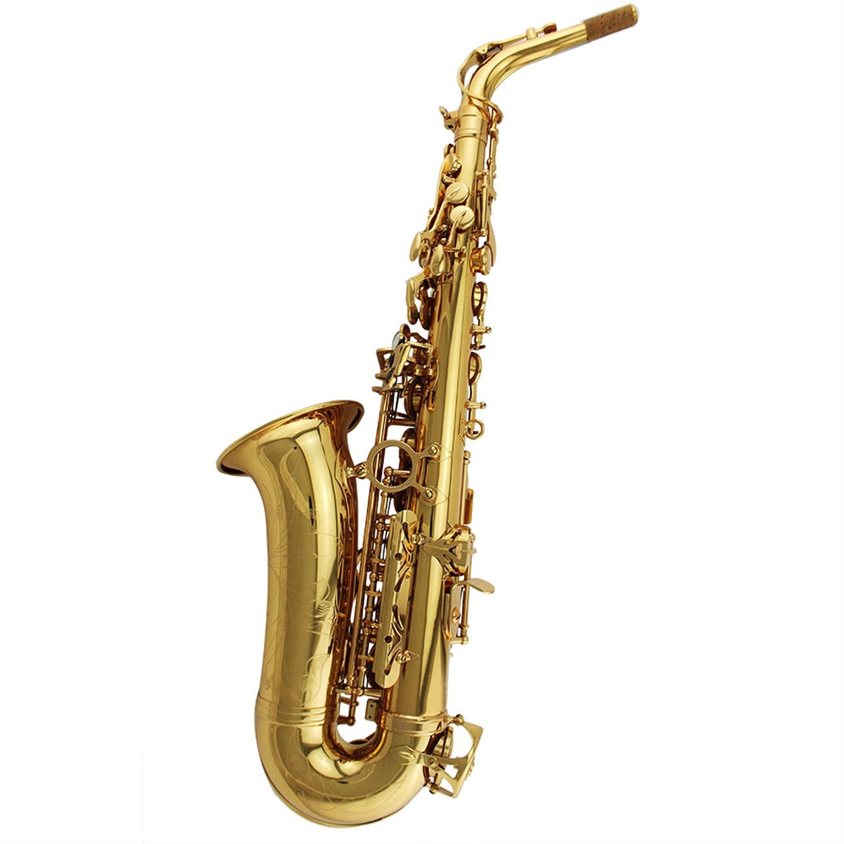 Alto Saxophone Set W1581