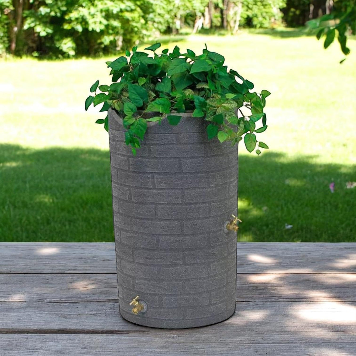 50 Gallon Resin Rain Barrel with Dual Brass Spigots O972676