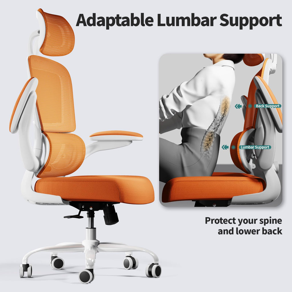 Ergonomic Office Chair with Lumbar Support Y404014