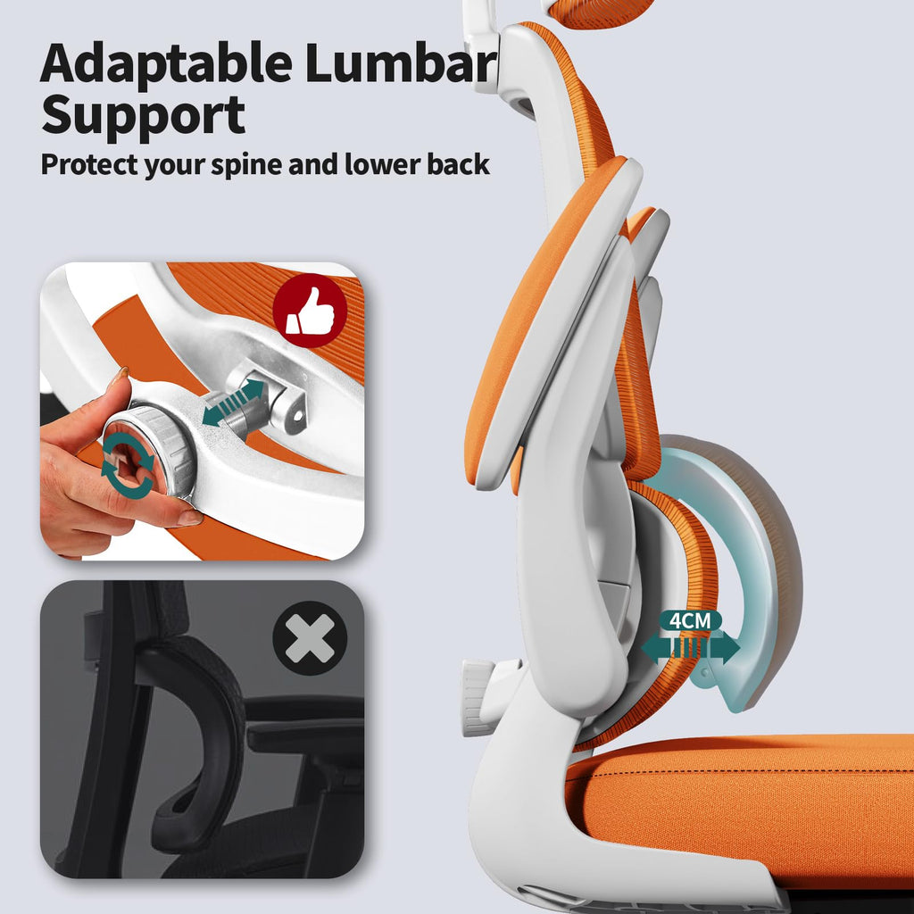 Ergonomic Office Chair with Lumbar Support Y404014