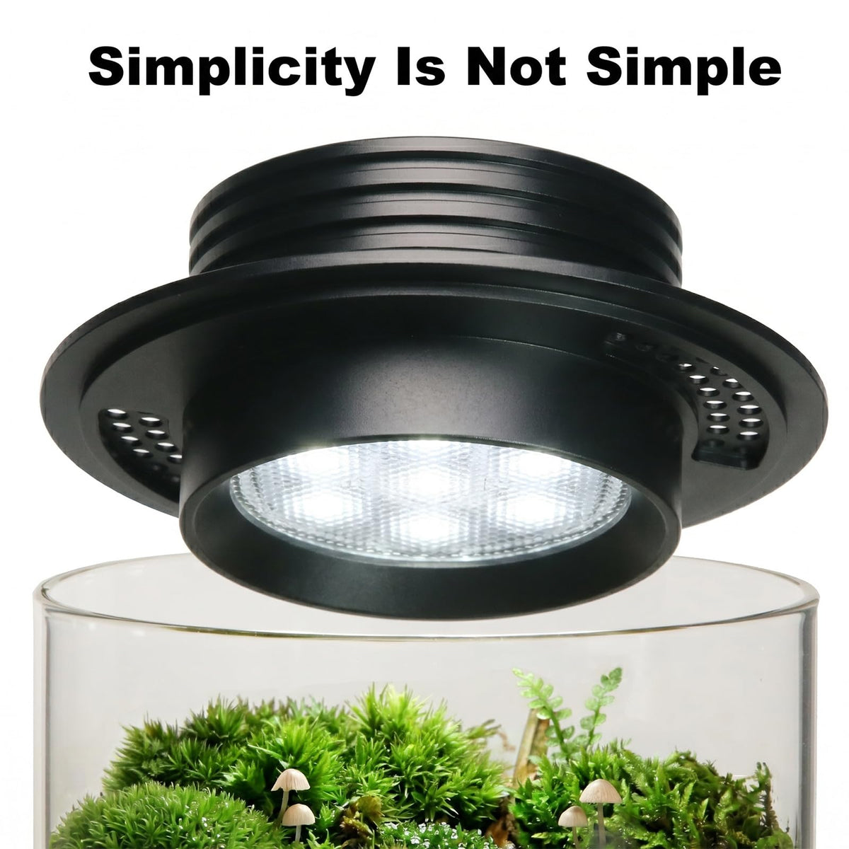 Glass Plant Terrarium with Grow Light O85405