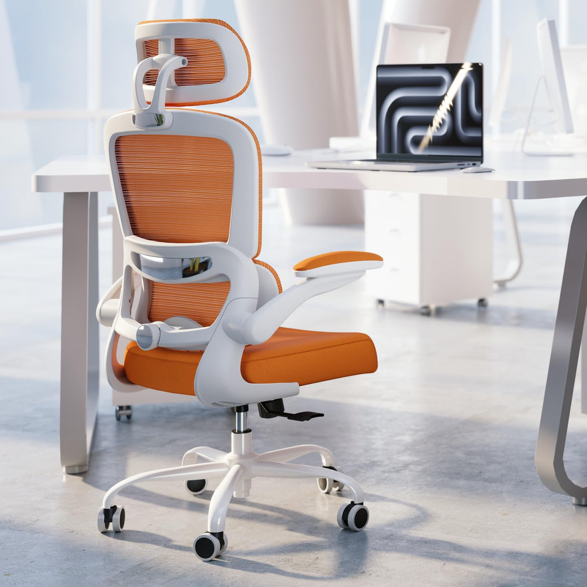 Ergonomic Office Chair with Lumbar Support Y404014