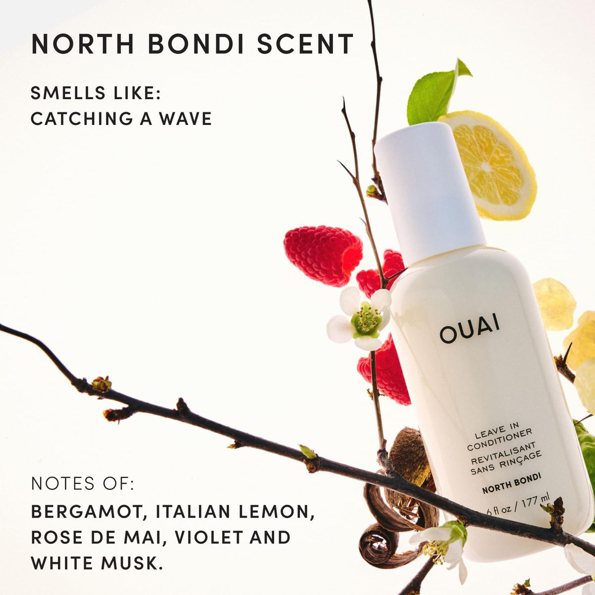 Leave In Conditioner E1384