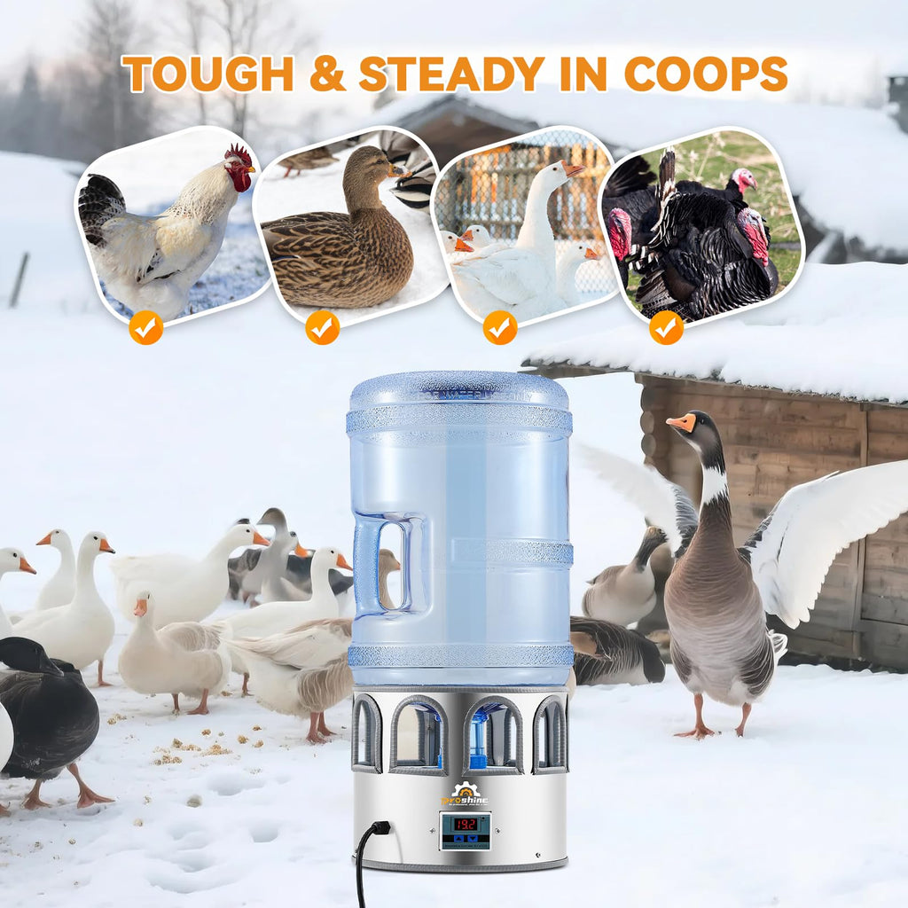 Heated Chicken Waterer 5 Gallon H787664