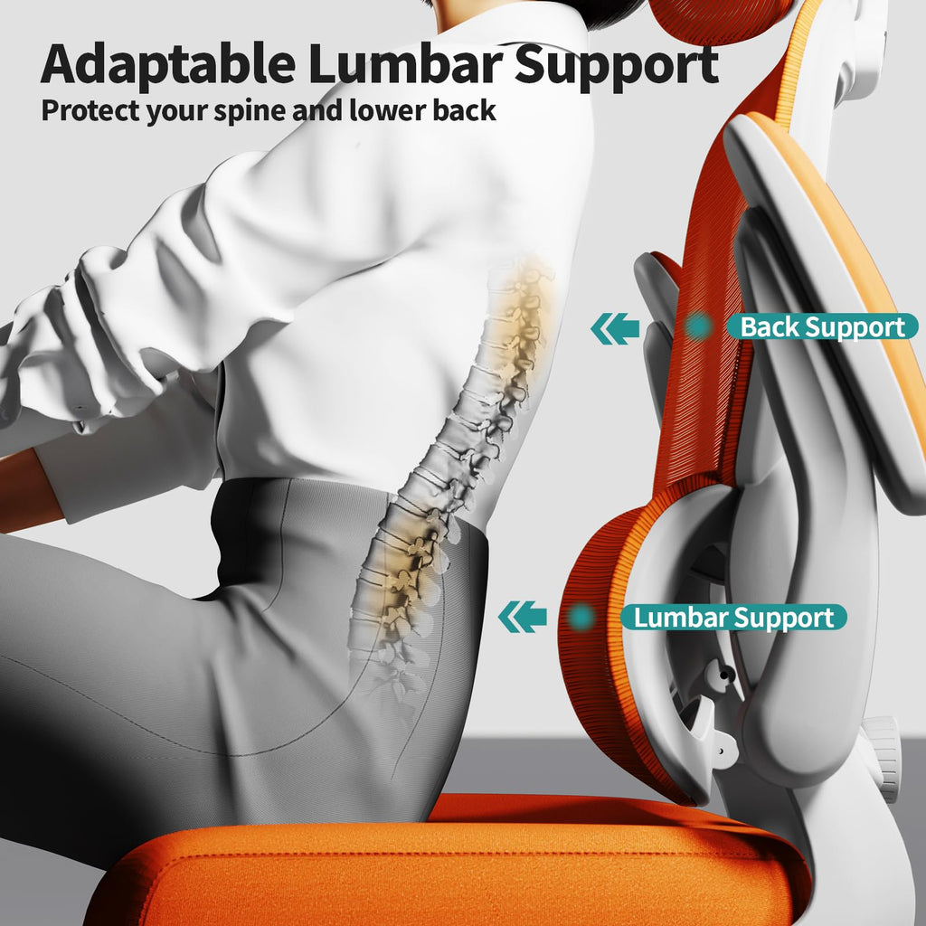 Ergonomic Office Chair with Lumbar Support Y404014