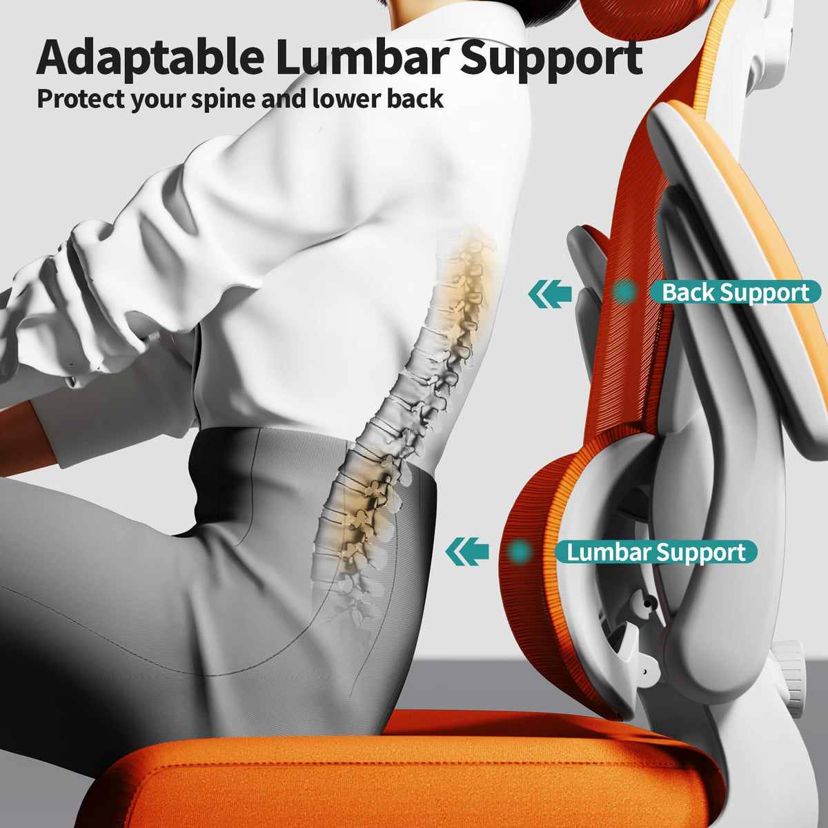 Ergonomic Office Chair with Lumbar Support Y404014
