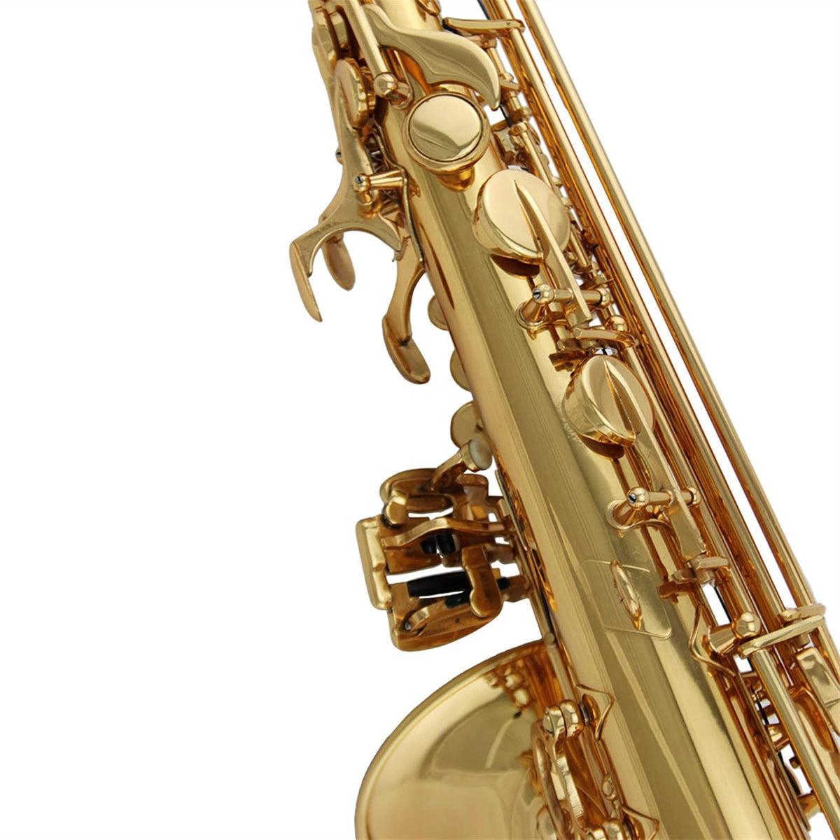Alto Saxophone Set W1581
