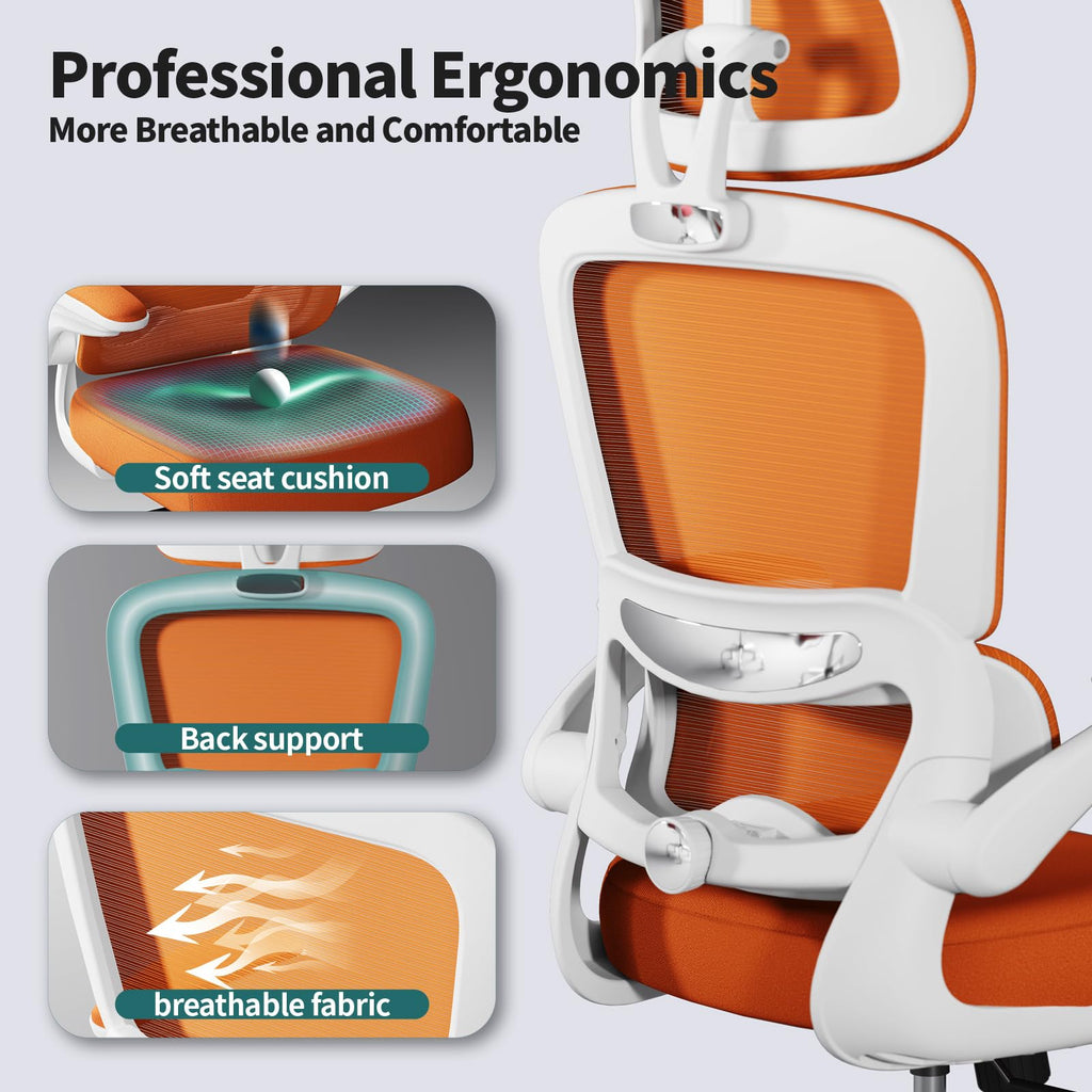 Ergonomic Office Chair with Lumbar Support Y404014