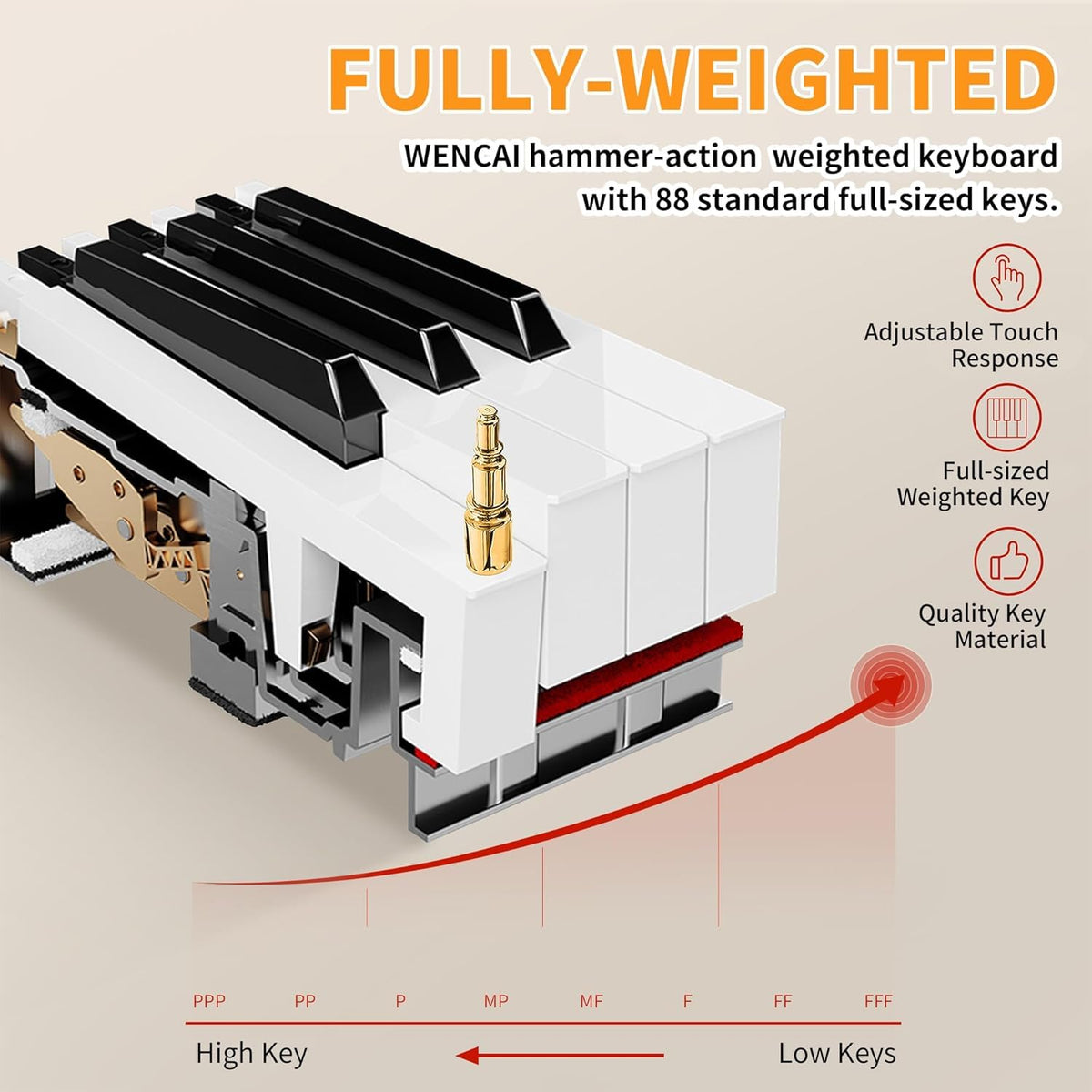 88-Key Fully Weighted Digital Piano R228