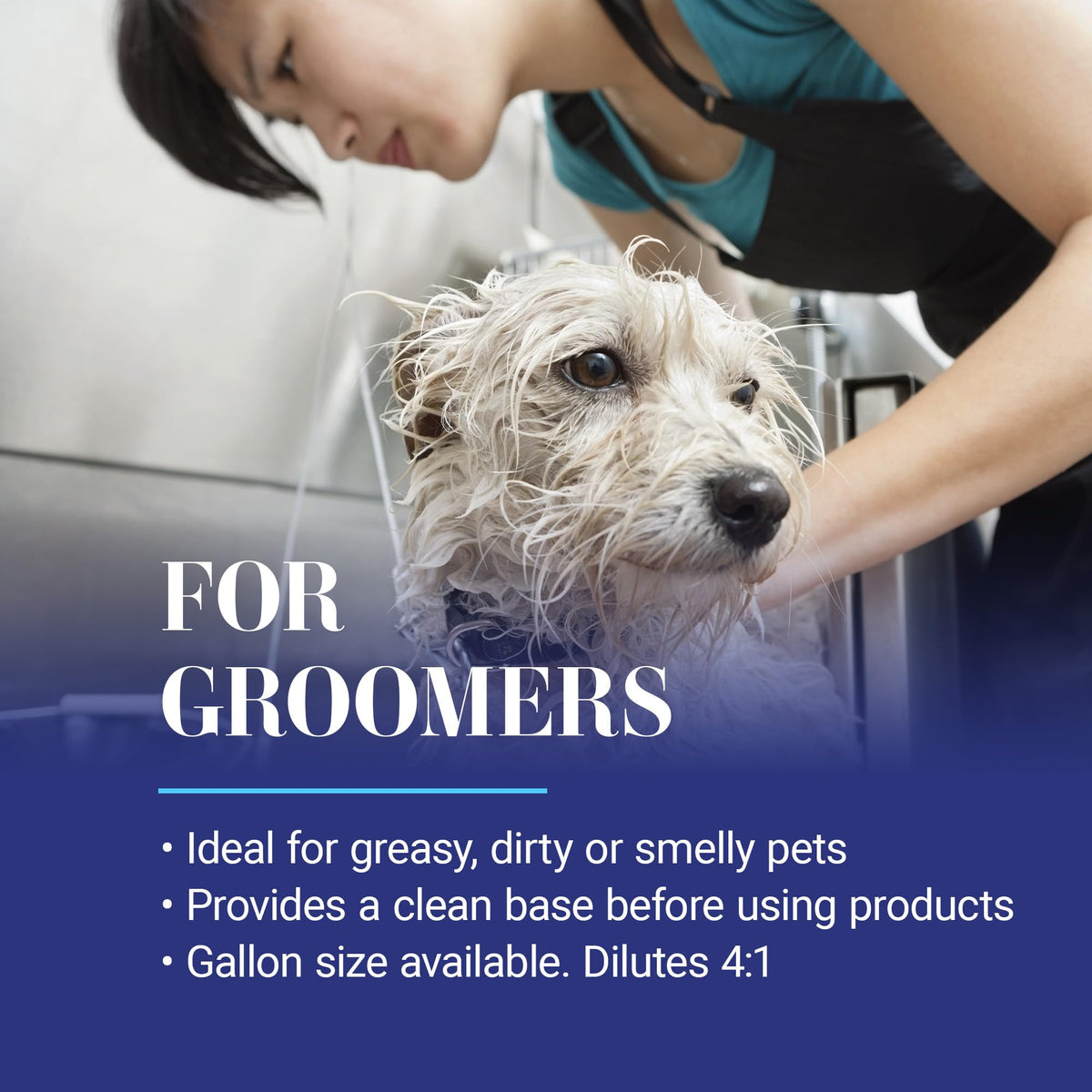 Dog Shampoo M1022