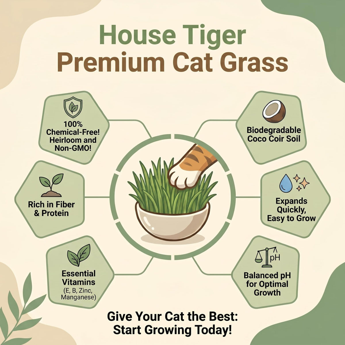 Cat Grass Growing Kit with 3-Pack Refill B394