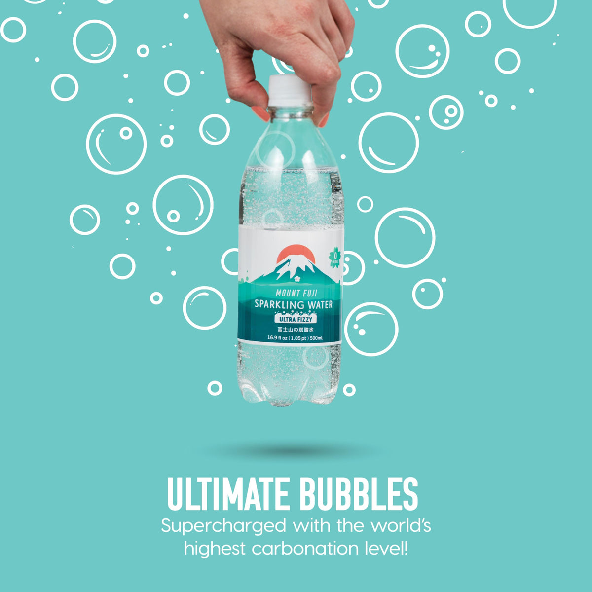 Sparkling Water Bottles 16.9 fl oz 24-Pack L91542