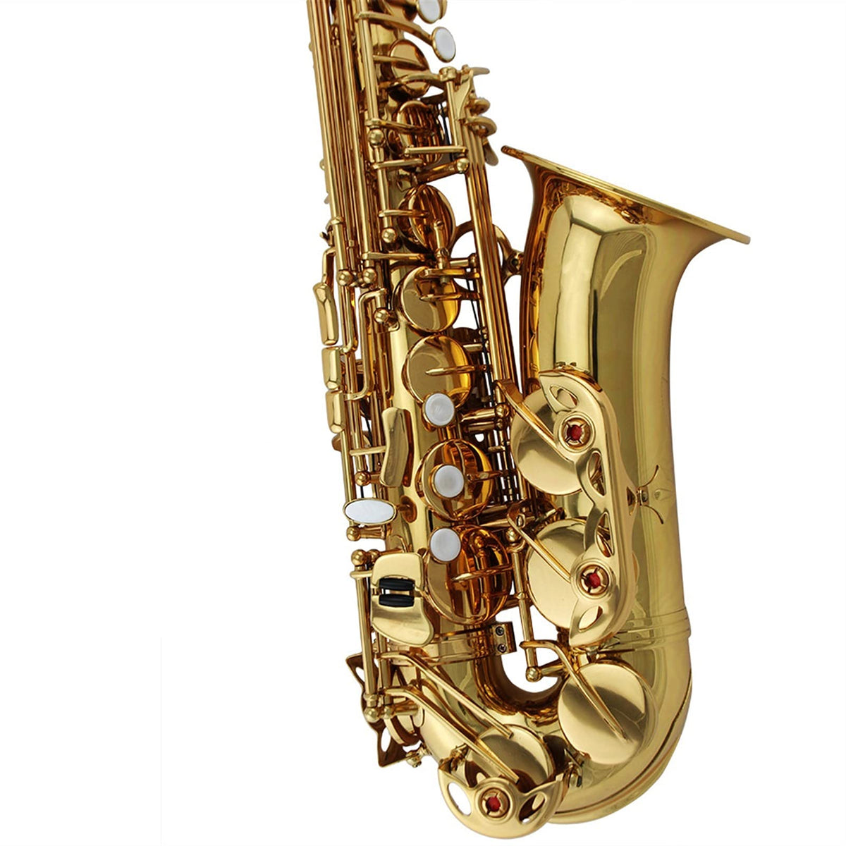 Alto Saxophone Set W1581