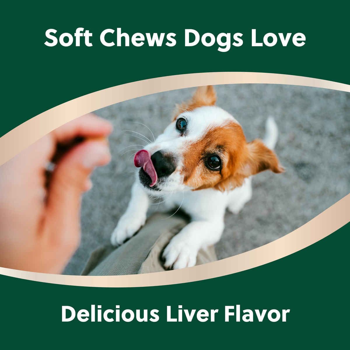 Soft Chews for Dogs with Glucosamine, MSM, UC-II Collagen & Omega-3s, 120 Soft Chews F593