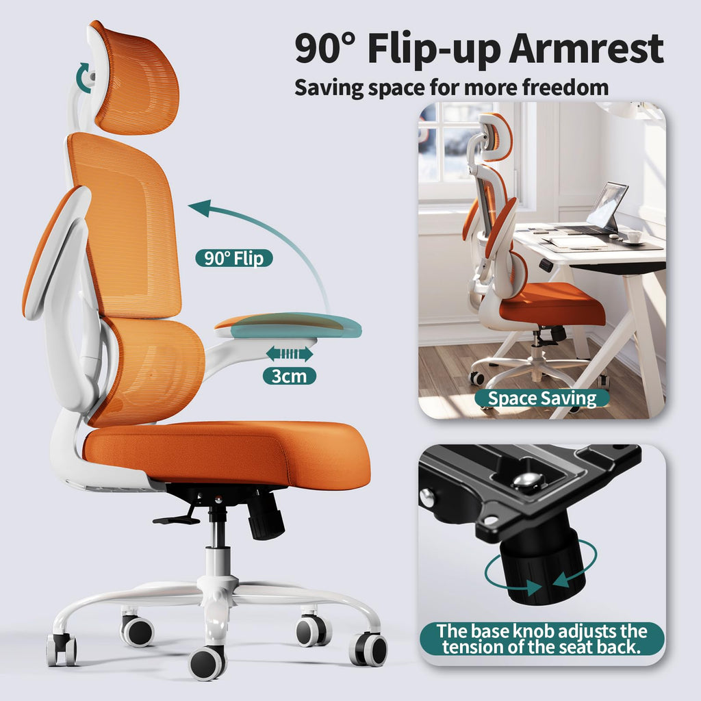 Ergonomic Office Chair with Lumbar Support Y404014