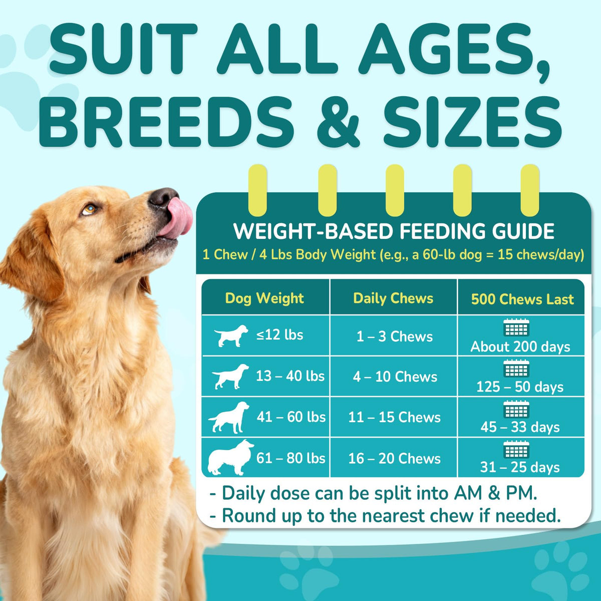 Flea and Tick Prevention for Dogs N470731