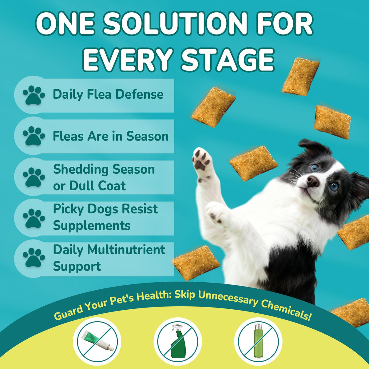 Flea and Tick Prevention for Dogs N470731