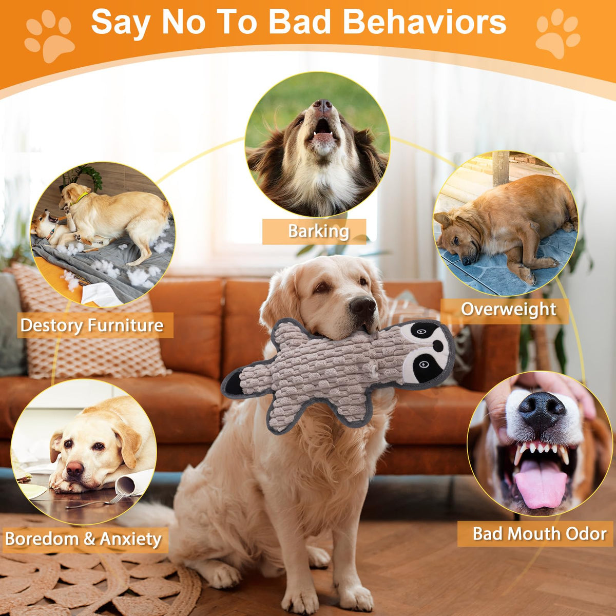 5 Pack Squeaky Plush Dog Toys with Crinkle Paper C673124