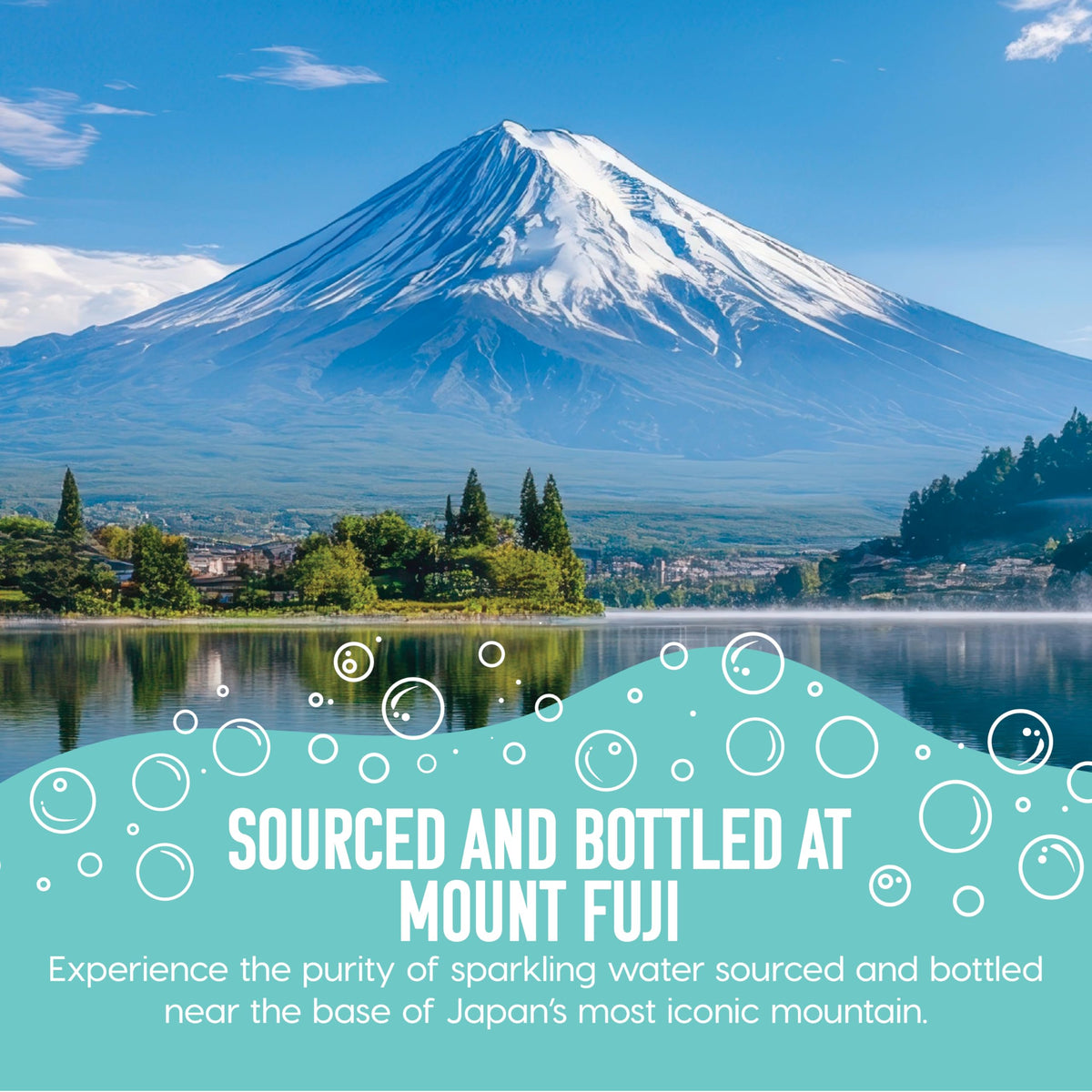 Sparkling Water Bottles 16.9 fl oz 24-Pack L91542