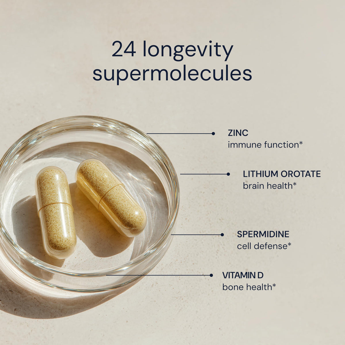 Daily Multivitamin Multimineral Antioxidant Supplement with Calcium Vitamin B1 Vitamin D Zinc Vegan Non GMO 30 Servings D842