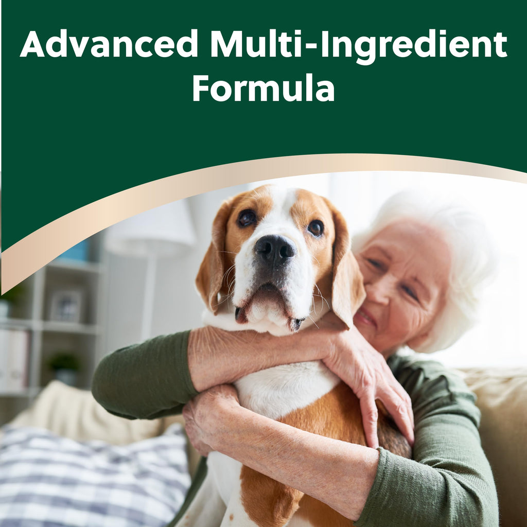 Soft Chews for Dogs with Glucosamine, MSM, UC-II Collagen & Omega-3s, 120 Soft Chews F593
