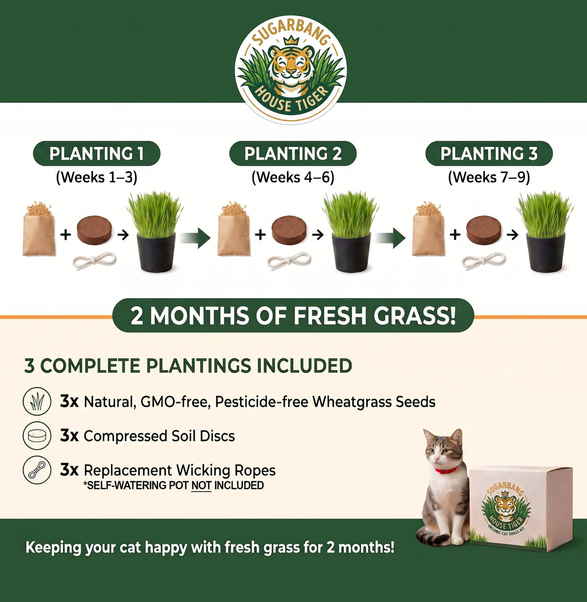 Cat Grass Growing Kit with 3-Pack Refill B394