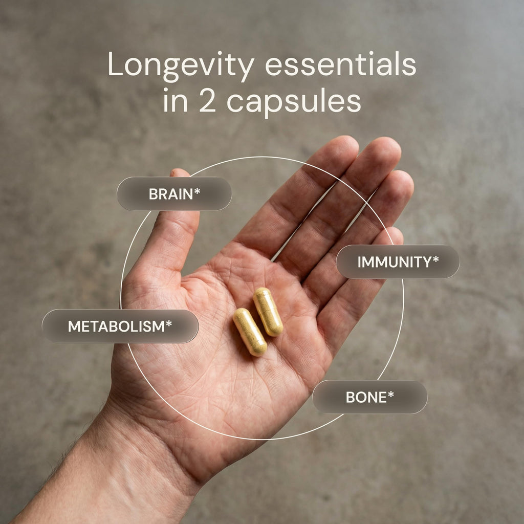 Daily Multivitamin Multimineral Antioxidant Supplement with Calcium Vitamin B1 Vitamin D Zinc Vegan Non GMO 30 Servings D842