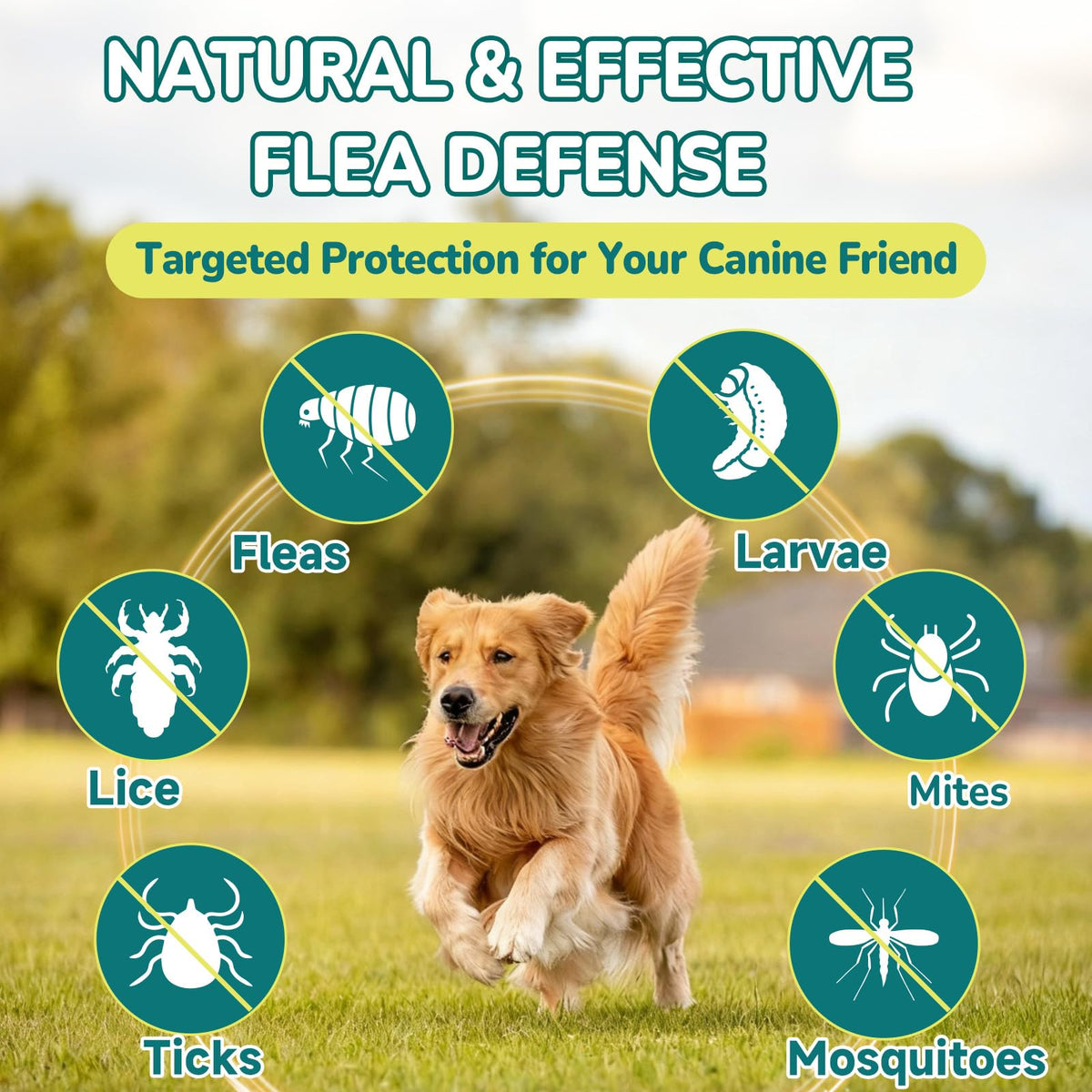 Flea and Tick Prevention for Dogs N470731
