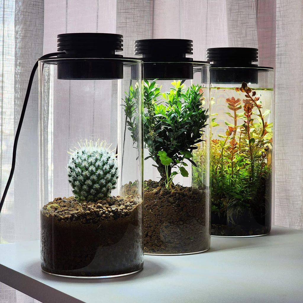 Glass Plant Terrarium with Grow Light O85405