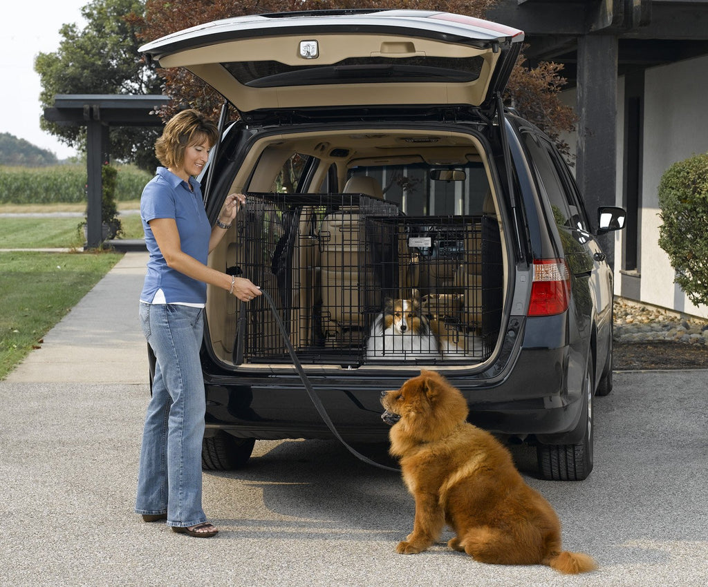 Double Door Folding Metal Dog Crate X374289