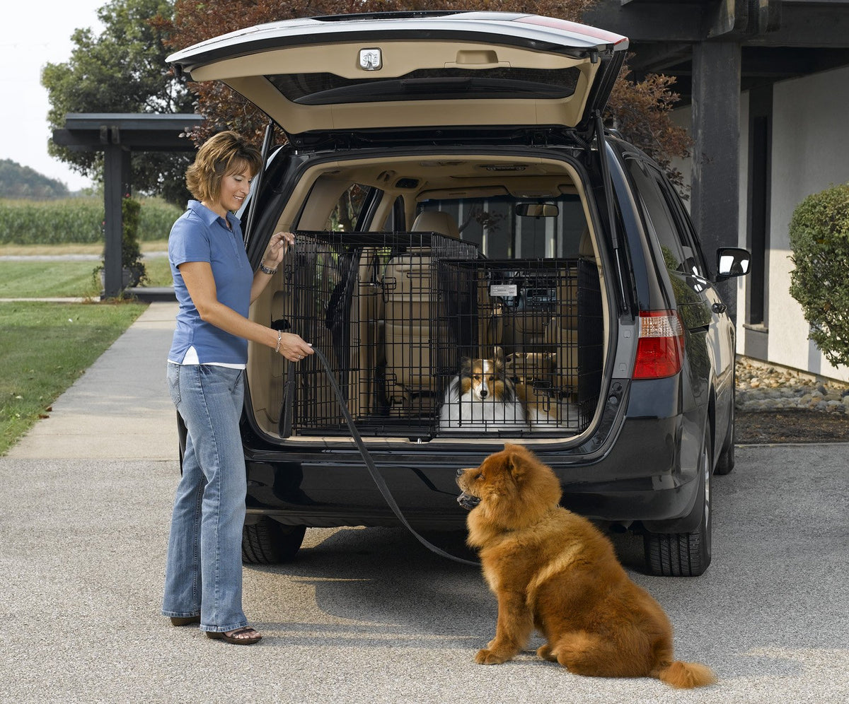 Double Door Folding Metal Dog Crate X374289