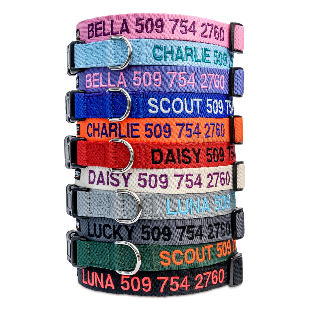 Personalized Dog Collar with Pet Name and Phone Number M987