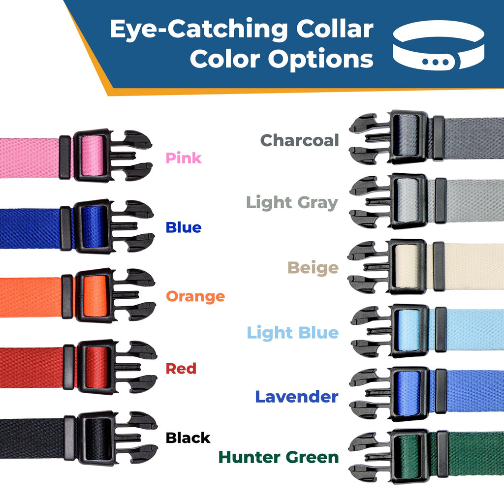 Personalized Dog Collar with Pet Name and Phone Number M987
