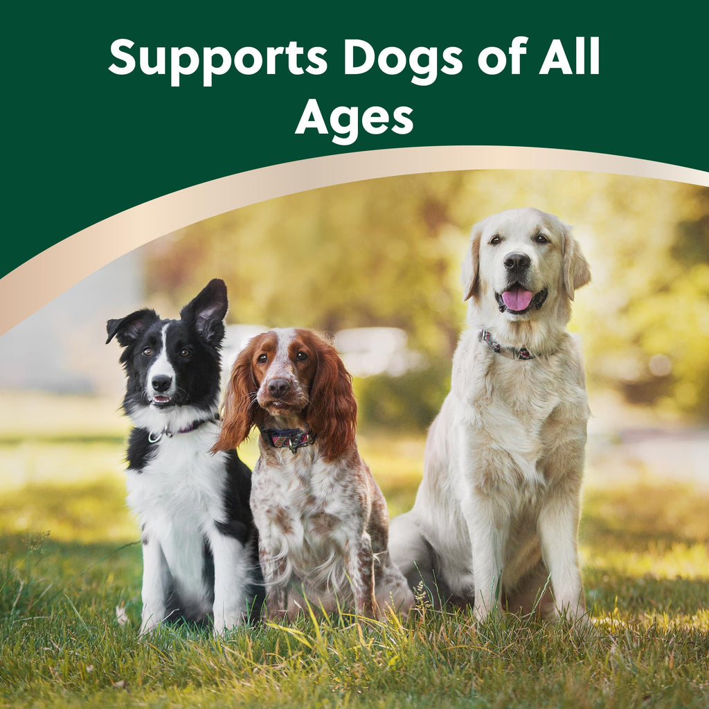 Soft Chews for Dogs with Glucosamine, MSM, UC-II Collagen & Omega-3s, 120 Soft Chews F593