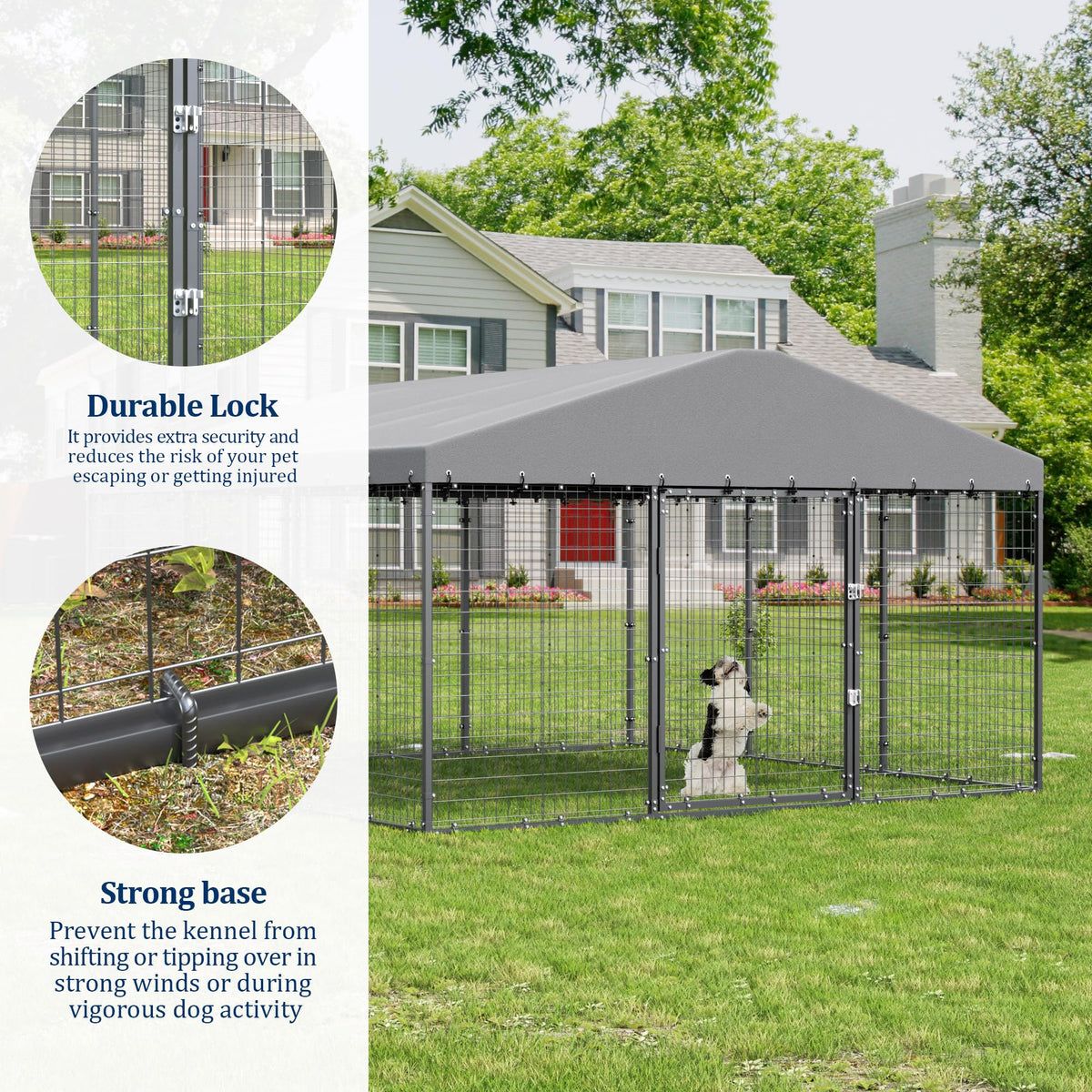 10' x 10' Outdoor Dog Kennel with Roof D748