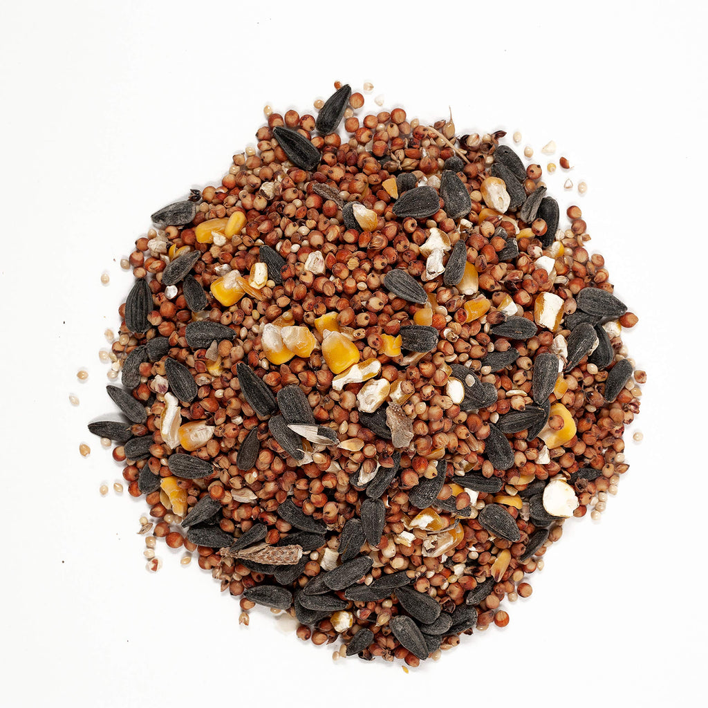 Wild Bird Food with Cherry Flavor 20-Pound Bag and Black Oil Sunflower Seed 5-Pound L2561