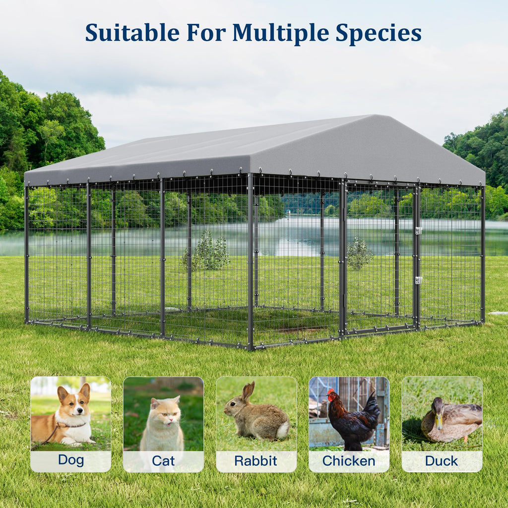 10' x 10' Outdoor Dog Kennel with Roof D748
