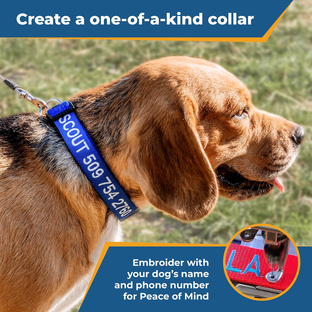 Personalized Dog Collar with Pet Name and Phone Number M987