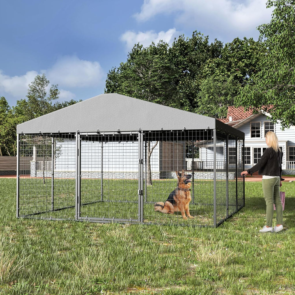10' x 10' Outdoor Dog Kennel with Roof D748